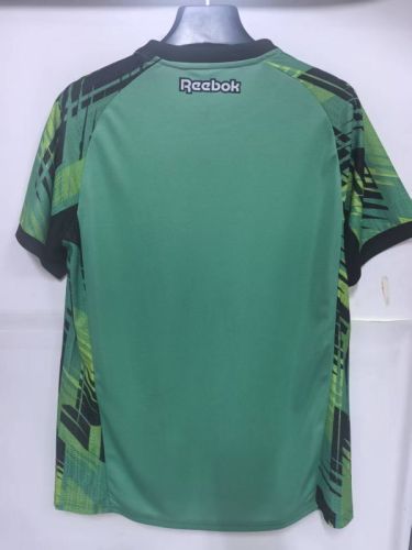 Fan Version 2025-2026 Botafogo Green Goalkeeper Soccer Jersey Football Shirt