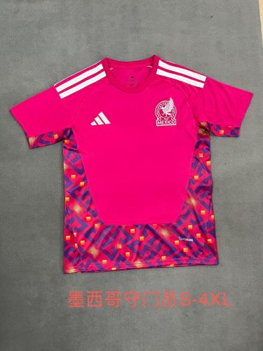 Fan Version 2026 Mexico Pink Goalkeeper Soccer Jersey Football Shirt