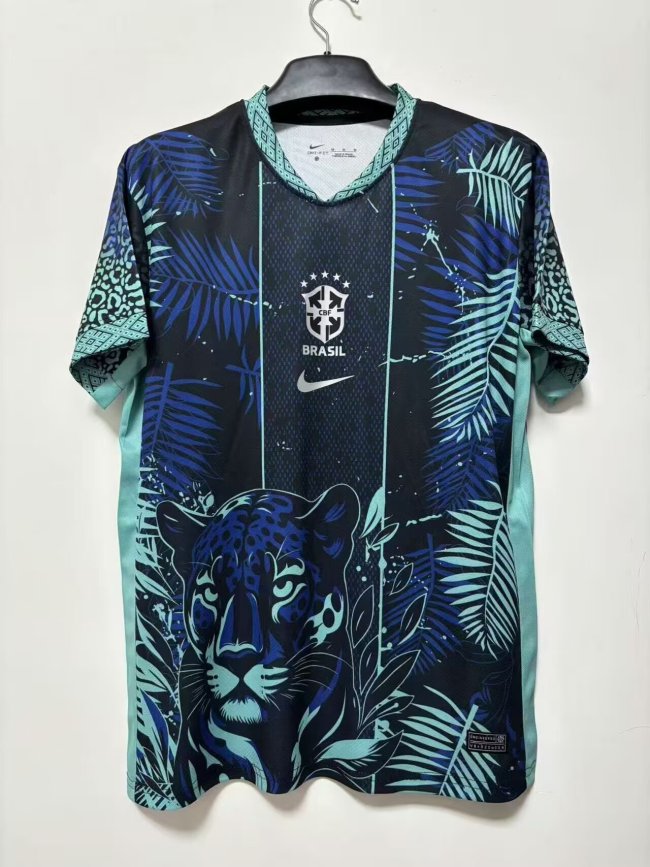 Fan Version 2026 Brazil Black/Blue Soccer Jersey Brasil Camisetas de Futbol