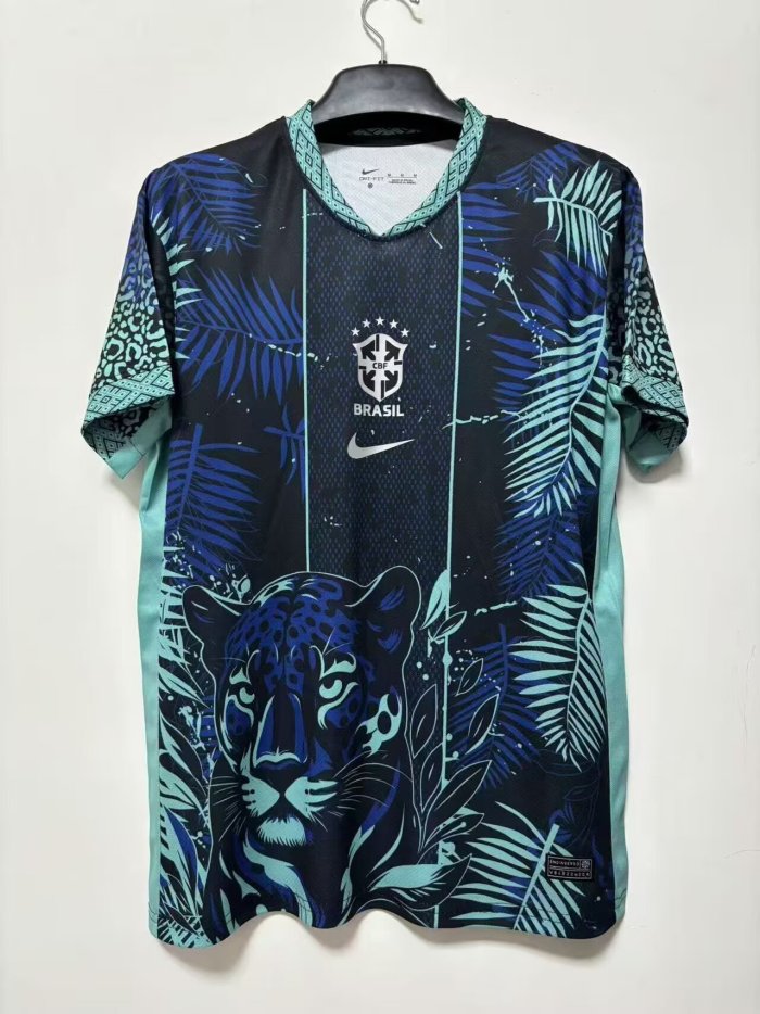 Fan Version 2026 Brazil Black/Blue Soccer Jersey Brasil Camisetas de Futbol