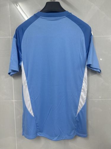 Fan Version 2025-2026 Cruzeiro Blue Goalkeeper Football Shirt Soccer Jersey