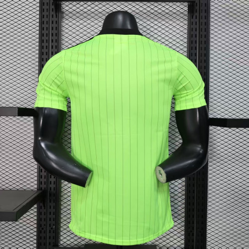 Player Version 2025-2026 Celtic Green Icon Soccer Jersey Football Shirt
