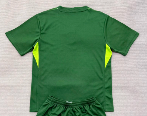Fans Version 2025-2026 Birmingham City Green Goalkeeper Soccer Jersey Football Shirt