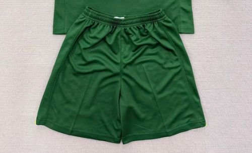 Fan Version 2025-2026 Birmingham City Green Goalkeeper Soccer Shorts Football Shorts