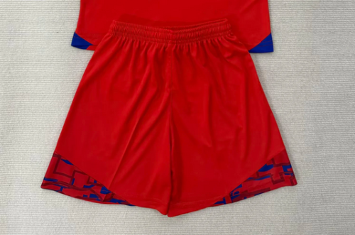 Fan Version 2025-2026 Ipswich Town Away Red Soccer Shorts Football Shorts