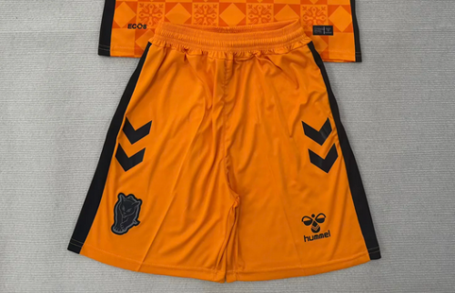Fan Version 2025-2026 Sunderland Orange Goalkeeper Soccer Shorts Football Shorts