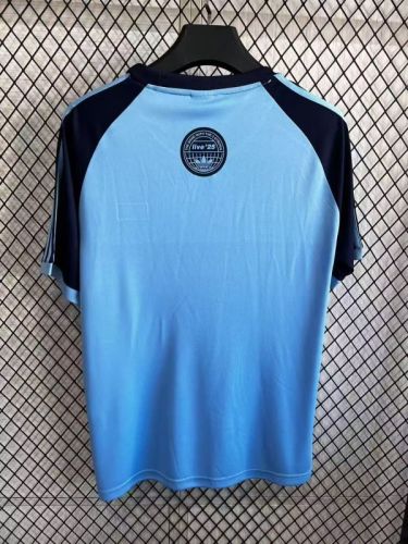 Fan Version 2025-2026 AD Oasis Blue Soccer Jersey Football Shirt