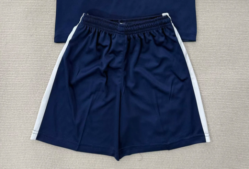 Fan Version 2025-2026 Hertha BSC Home Soccer Shorts Football Shorts
