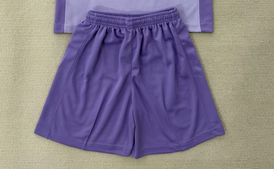 Fan Version 2025-2026 Brighton Away Purple Soccer Shorts Football Shorts