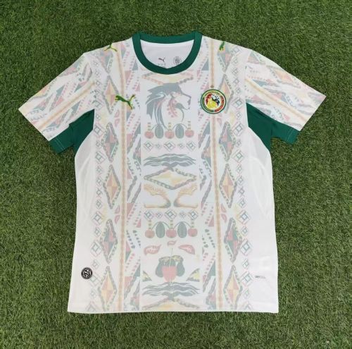 Fan Version 2025-2026 Senegal Home Soccer Jersey Football Shirt