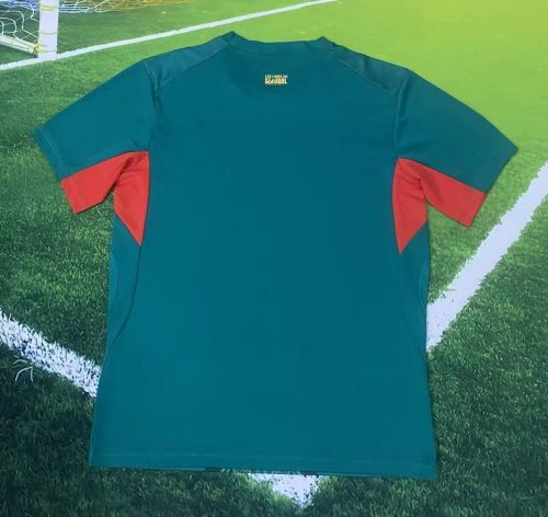 Fan Version 2025-2026 Senegal Green Soccer Jersey Football Shirt