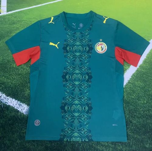 Fan Version 2025-2026 Senegal Green Soccer Jersey Football Shirt