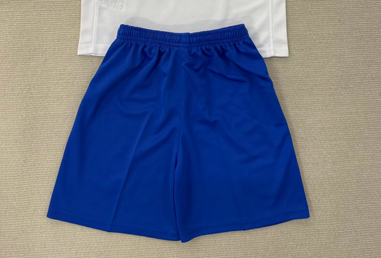 Fan Version 2025-2026 Portsmouth Away Soccer Shorts Football Shorts