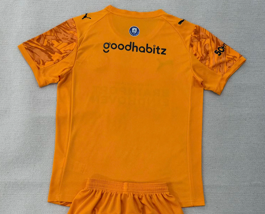 Fan Version 2025-2026 PSV Eindhoven Orange Goalkeeper Soccer Jersey Football Shirt