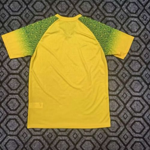 Fan Version 2025-2026 Burkina Faso Yellow Special Edition Soccer Jersey Football Shirt