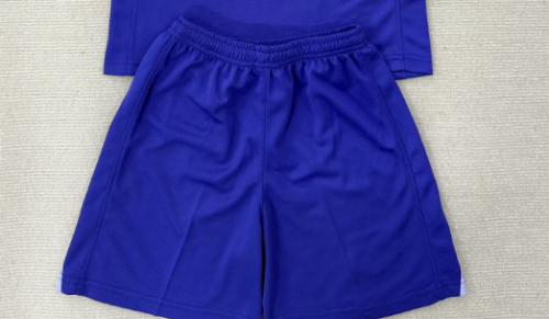 Fan Version 2025-2026 Barcelona Purple Goalkeeper Soccer Shorts Football Shorts