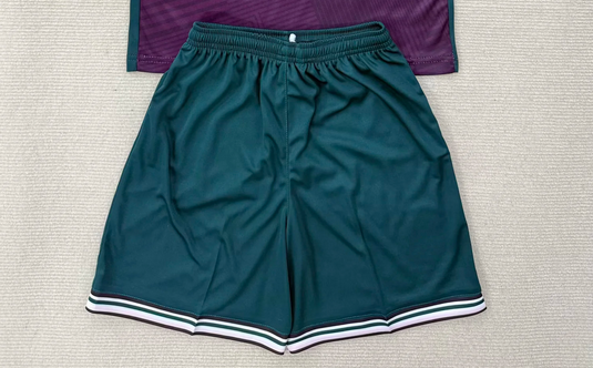 Fan Version 2025-2026 Swansea City Away Green Soccer Shorts Football Shorts