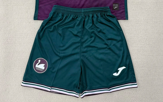 Fan Version 2025-2026 Swansea City Away Green Soccer Shorts Football Shorts