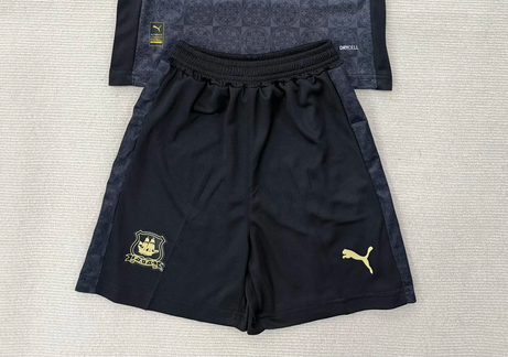 Fan Version 2025-2026 Plymouth Argyle Away Black Soccer Shorts Football Shorts