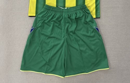 Fan Version 2025-2026 West Bromwich Albion Away Green Soccer Shorts Football Shorts