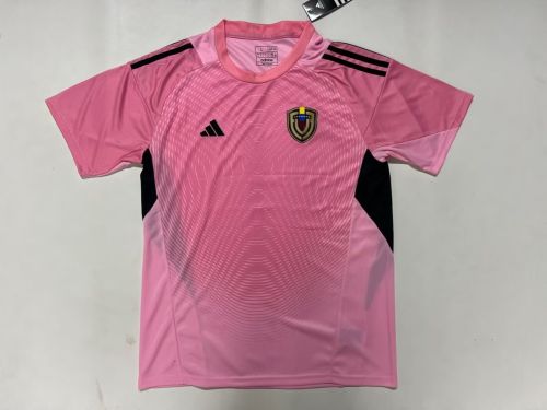 Fan Version 2024-2025 Venezuela Pink Goalkeeper Soccer Jersey Football Shirt