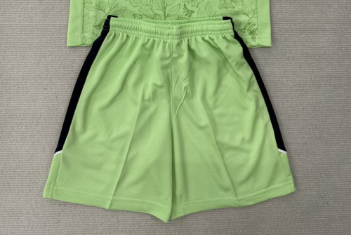 Fan Version 2025-2026 Luton Town Third Away Green Soccer Shorts Football Shorts