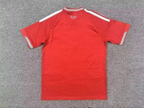 Fan Version Wales 2026 Home Soccer Jersey Football Shirt