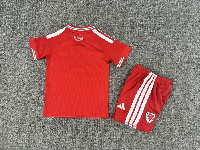 Youth Uniform Kids Kit 2026 Wales Home Soccer Jersey Shorts Child Football Set