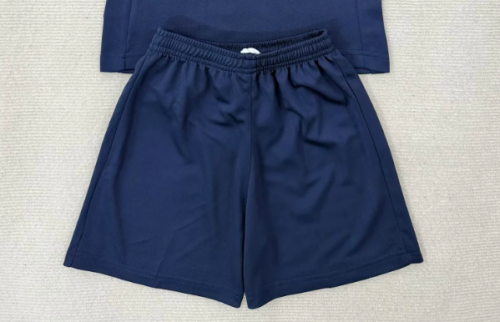 Fan Version 2025-2026 Girona Third Away Dark Blue Soccer Shorts Football Shorts