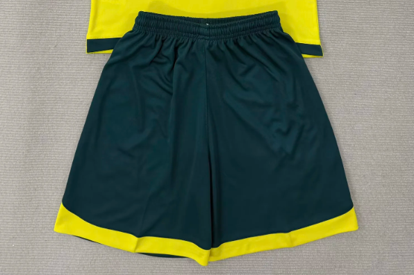 Fan Version 2025-2026 Hibernian Away Soccer Shorts Football Shorts