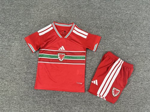 Youth Uniform Kids Kit 2026 Wales Home Soccer Jersey Shorts Child Football Set