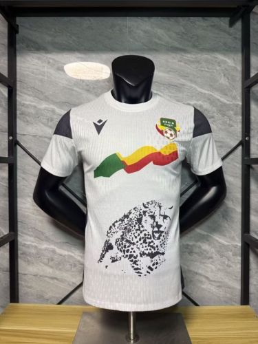 Player Version 2026 Benin White Soccer Jersey Football Shirt