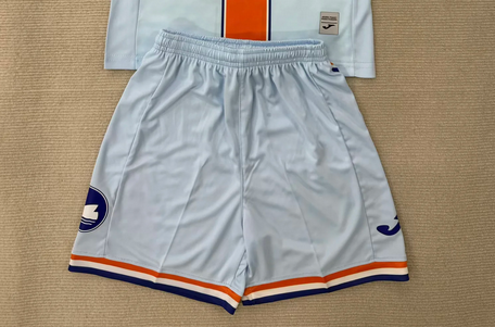 Fan Version 2025-2026 Swansea City Third Away Soccer Shorts Football Shorts