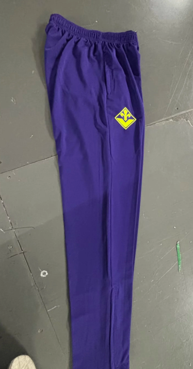 2025-2026 Fiorentina Green Soccer Training Sweater and Pants