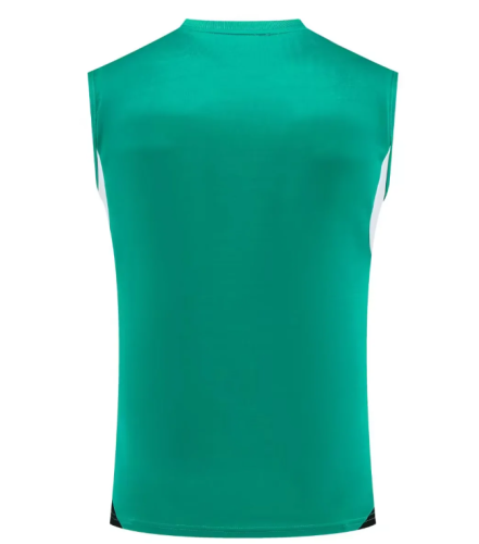 Fan Version 2025-2026 Liverpool Green Soccer Training Vest Football Shirt