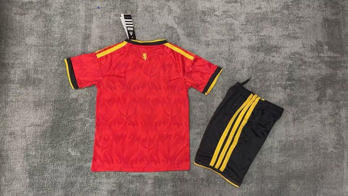 Youth Uniform Kids Kit 2026 BEL Home Soccer Jersey Shorts Child Football Set