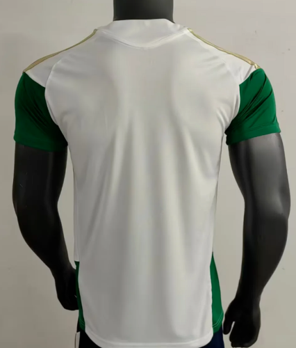 Fan Version 2025-2026 Italy White/Green Soccer Jersey Football Shirt