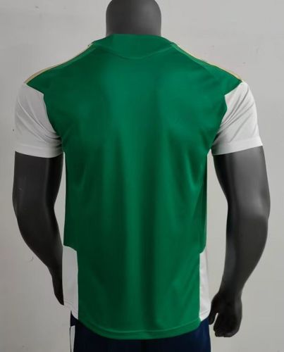 Player Version 2025-2026 Italy Green/White Soccer Training Jersey Football Shirt