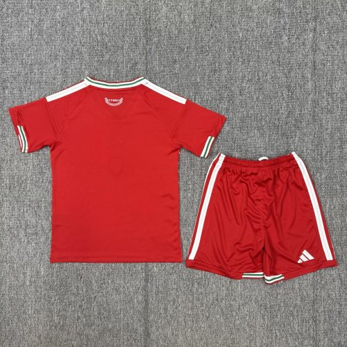 Youth Uniform Kids Kit Wales 2026 Home Soccer Jersey Shorts Child Welsh Football Set
