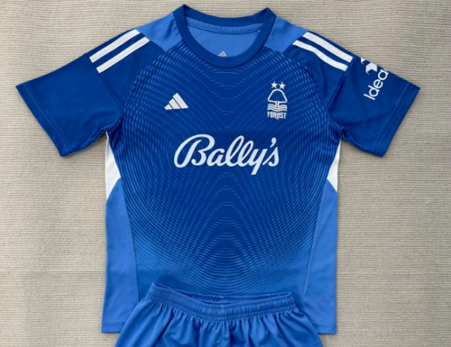 Fans Version 2025-2026 Nottingham Forest Blue Goalkeeper Soccer Jersey Football Shirt