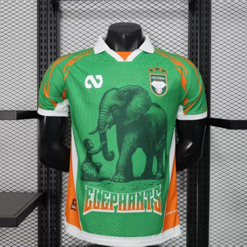 Player Version 2025-2026 Ivory Coast Football Shirt Côte d'Ivoire Green Soccer Jersey
