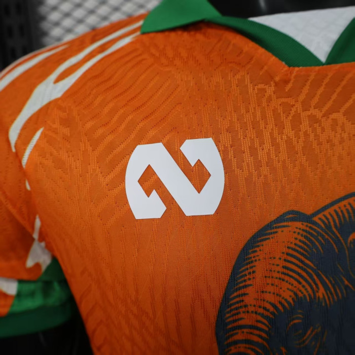 Player Version 2025-2026 Ivory Coast Football Shirt Côte d'Ivoire Orange Soccer Jersey