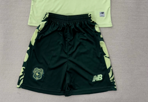 Fan Version 2025-2026 CARDIFF CITY Away Green Soccer Shorts Football Shorts
