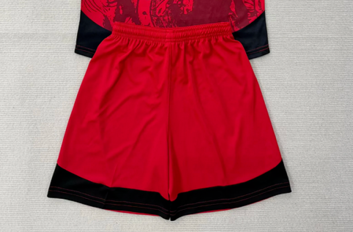 Fan Version 2025-2026 Tijuana Home Soccer Shorts Football Shorts