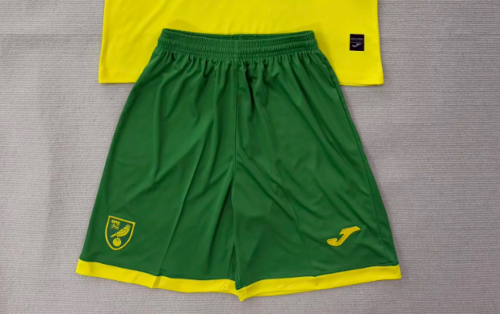 Fan Version 2025-2026 Norwich City Home Soccer Shorts Football Shorts