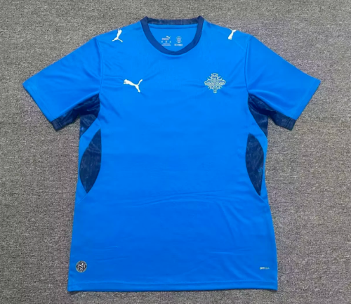 Retro Jersey 2016-2017 Iceland Home Soccer Jersey Vintage Football Shirt