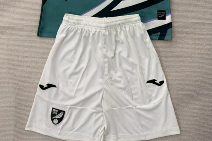 Fan Version 2025-2026 Norwich City Away Soccer Shorts Football Shorts