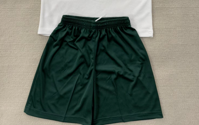 Fan Version 2025-2026 Middlesbrough Green Soccer Shorts Football Shorts