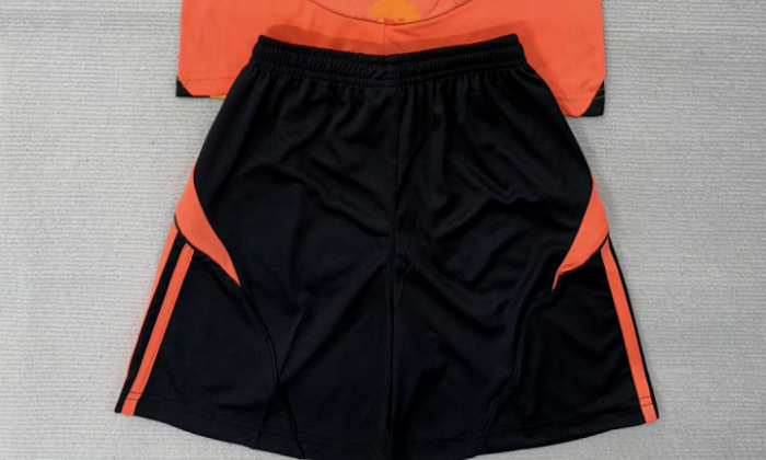 Fan Version 2025-2026 Paris FC Third Away Soccer Shorts Football Shorts