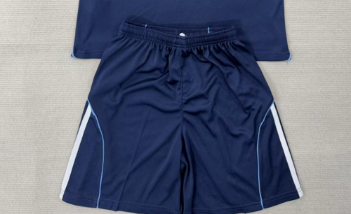 Fan Version 2025-2026 Paris FC Home Soccer Shorts Football Shorts